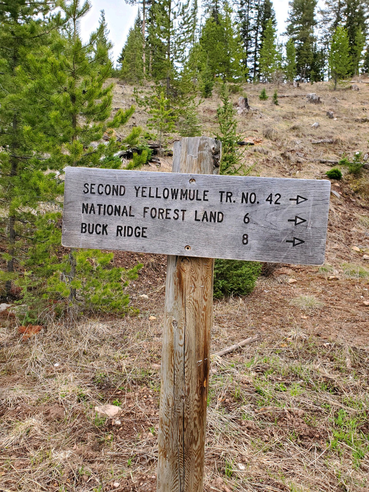 Trail Intersection